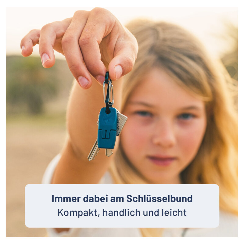 Schlüssel, Karabiner, blauer Schlüsselanhänger, kompakt, Mehrfachschlüssel