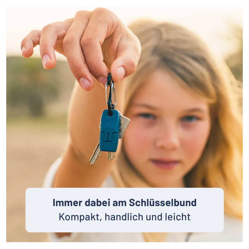 Schlüssel, Karabiner, blauer Schlüsselanhänger, kompakt, Mehrfachschlüssel