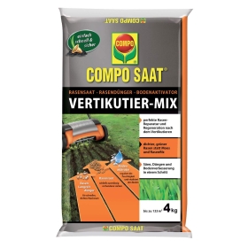 Gras, Pflanze