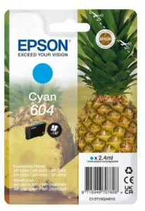 Essen, Obst, Ananas, Pflanze, Produzieren