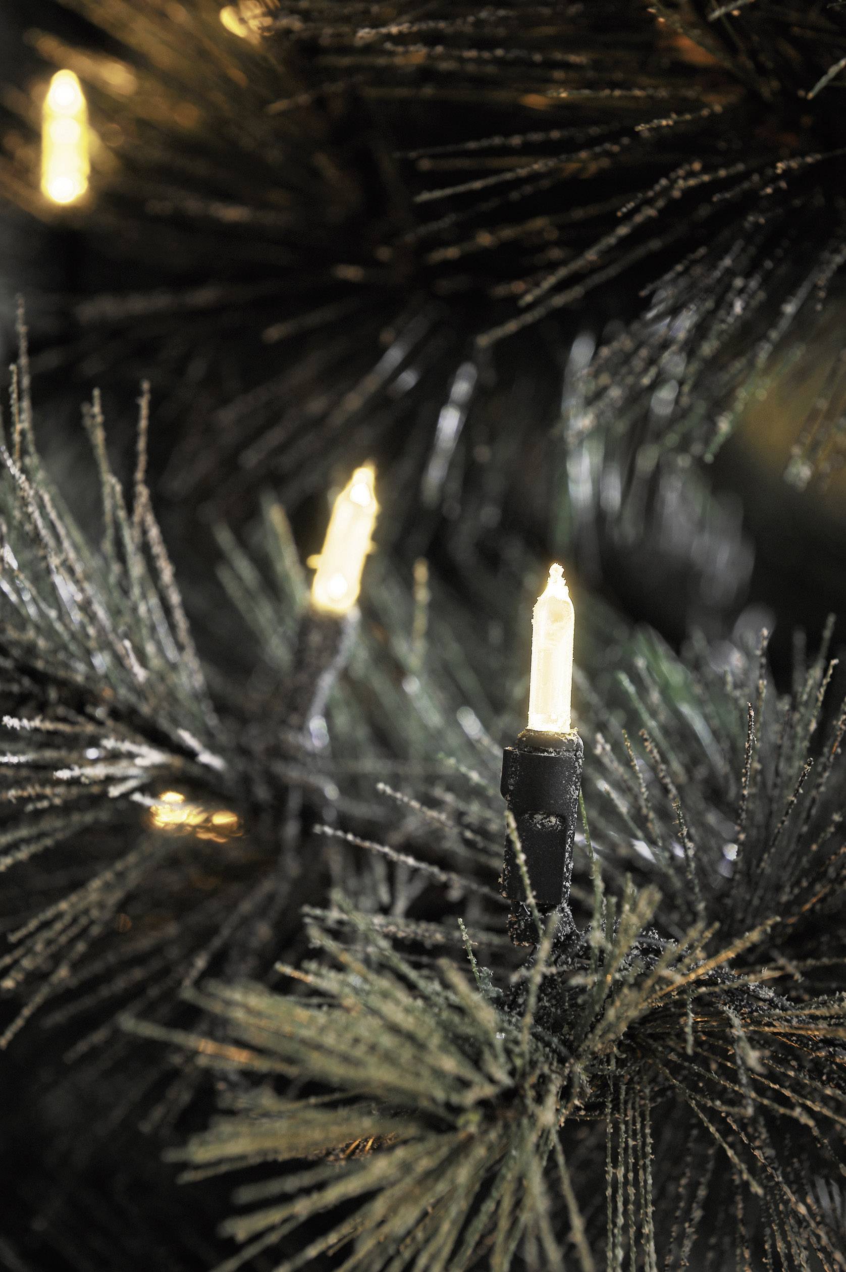 Weihnachten, Weihnachtsdekorationen, Festival, Pflanze