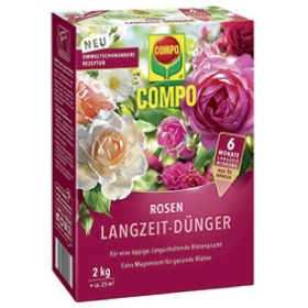 Blume, Pflanze, Rose, Kräuterig, Blütenblatt