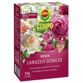 Blume, Pflanze, Rose, Kräuterig, Blütenblatt