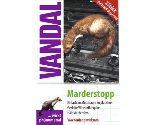 Werbung, Plakat, Säugetier, Ratte, Nagetier