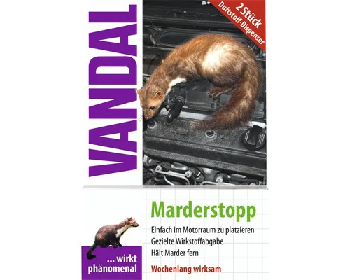 Werbung, Plakat, Säugetier, Ratte, Nagetier