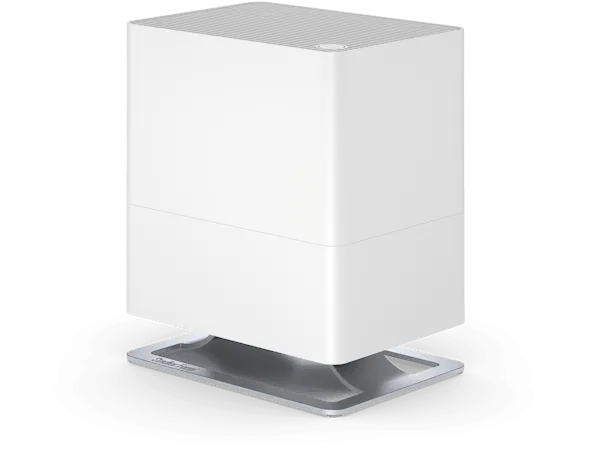 Lampe