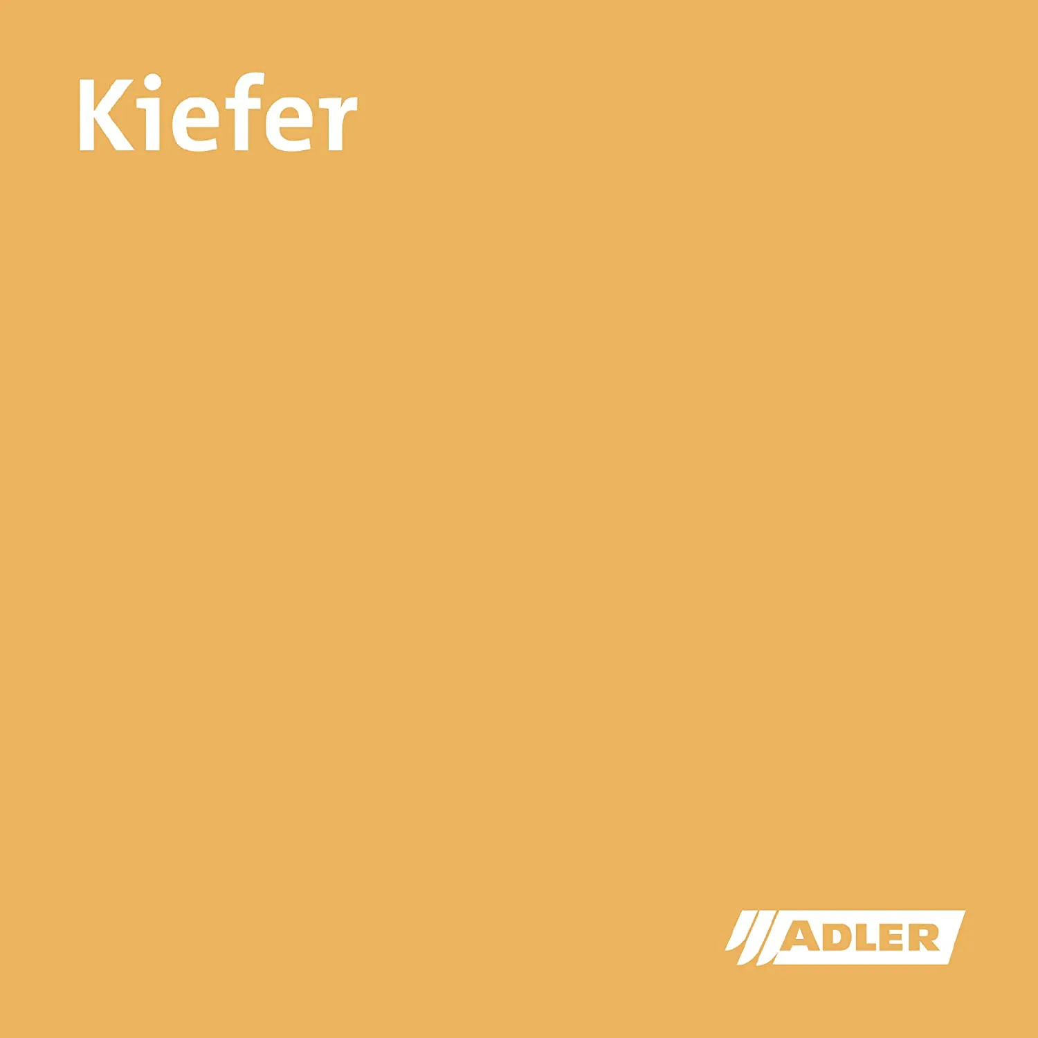Holzveredelung / Pflegemittel Grilith Holzkitt Kiefer 100ml 5097318