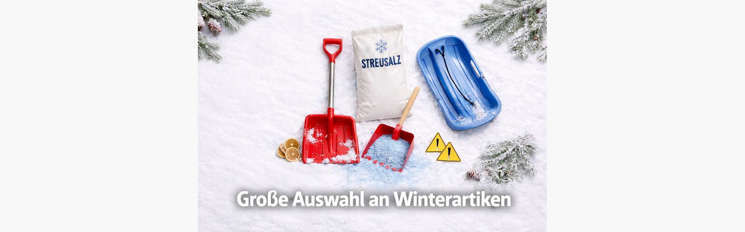 Winterartikel 2500x781 NEU-breit