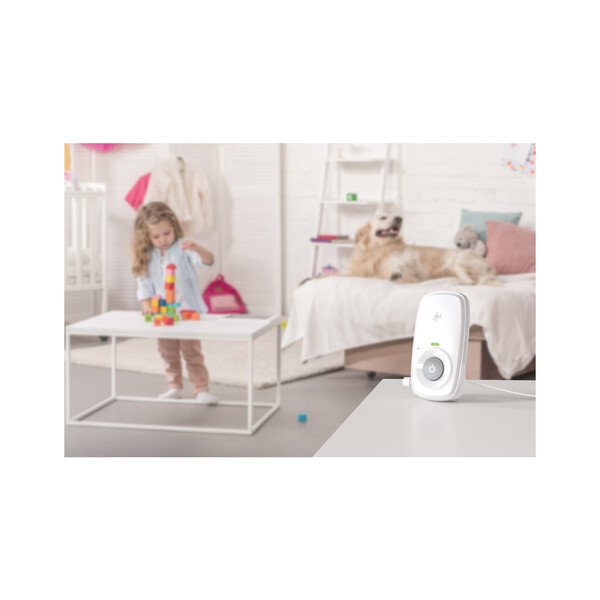 Kind, Weiblich, Mädchen, Person, Hund