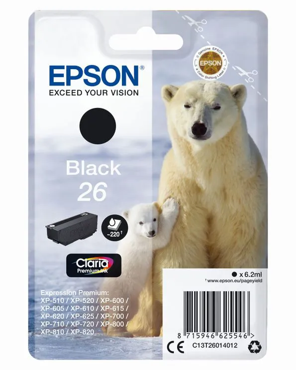 Tier, Bär, Säugetier, Tierwelt, Eisbär