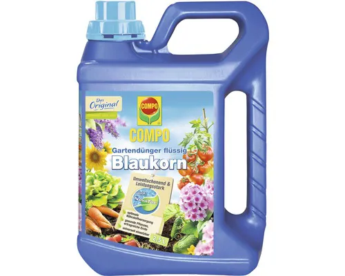 Essen, Mittagessen, Mahlzeit, Kräuterig, Pflanze