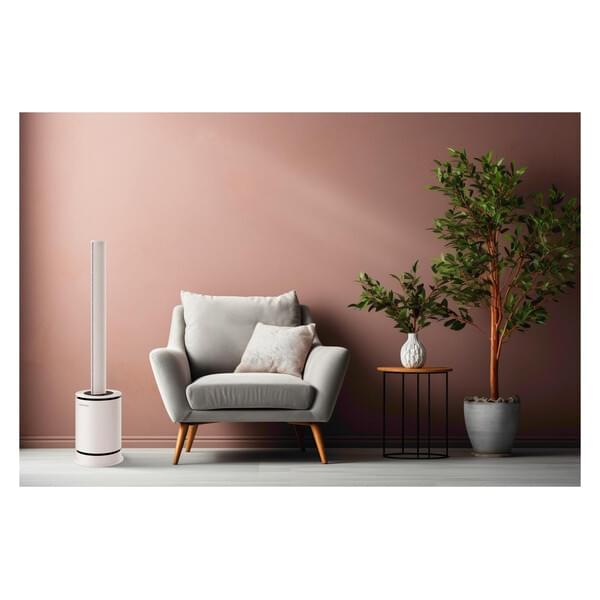 Pflanze, Pflanze im Topf, Mobiliar, Innenarchitektur, Pflanzgefäß