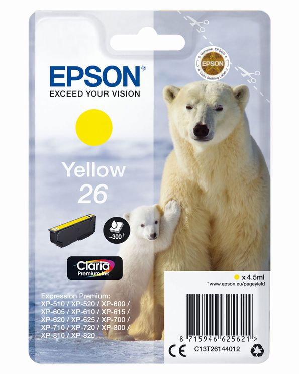 Tier, Bär, Säugetier, Tierwelt, Eisbär