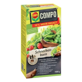 Kräuter, Pflanze, Beere, Produzieren