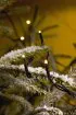 Micro LED-Lichterkette 3610-110, VE 6