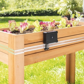 Krug, Pflanzgefäß, Topfpflanze, Töpferei, Vase