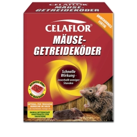 Tier, Säugetier, Ratte, Nagetier
