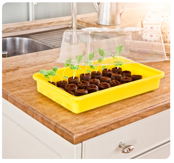 Essen, Präsentation des Essens