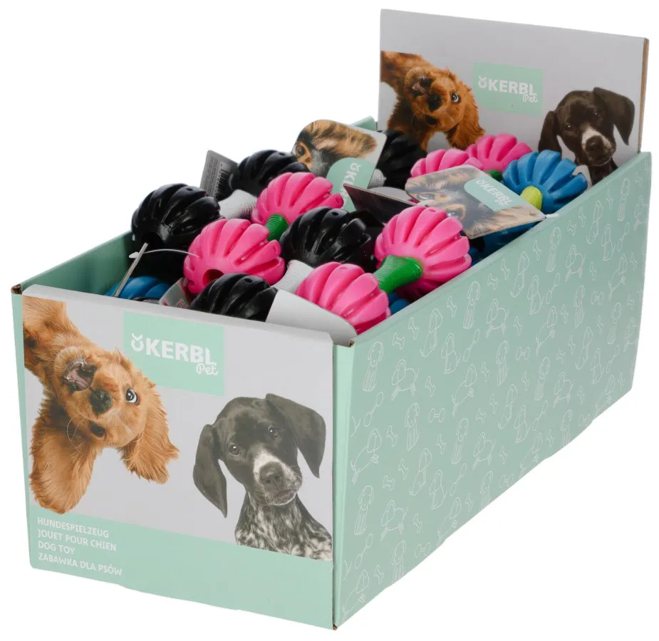 Helme, Hund, Haustier, Kleidung, Handschuh