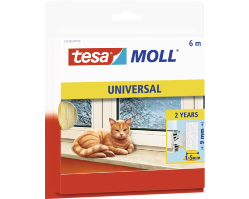 Tier, Katze, Säugetier, Haustier