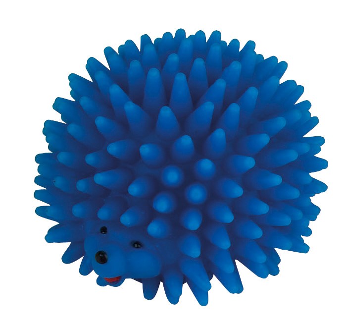 Pflanze