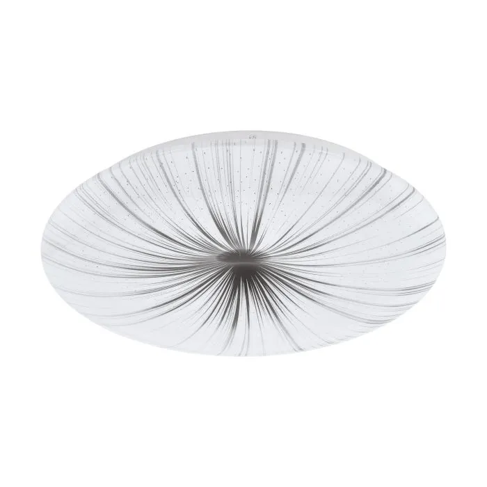 Blume, Pflanze