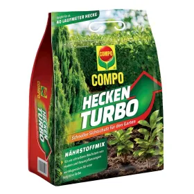 Kräuter, Pflanze