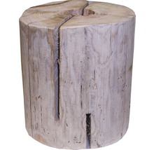 Pflanze, Baum, Baumstumpf, Holz