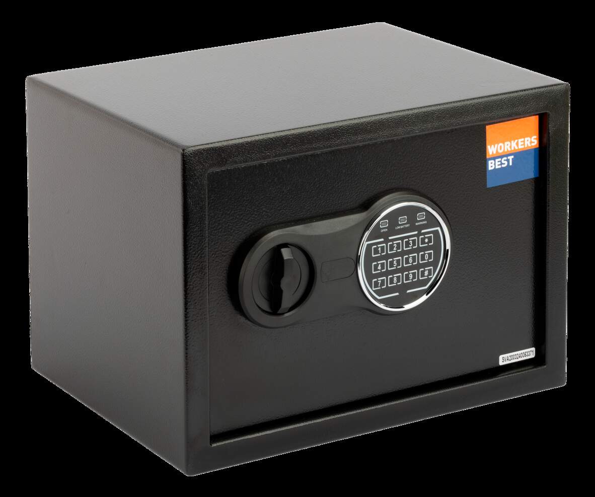 Sicher, Elektronik, Sprecher