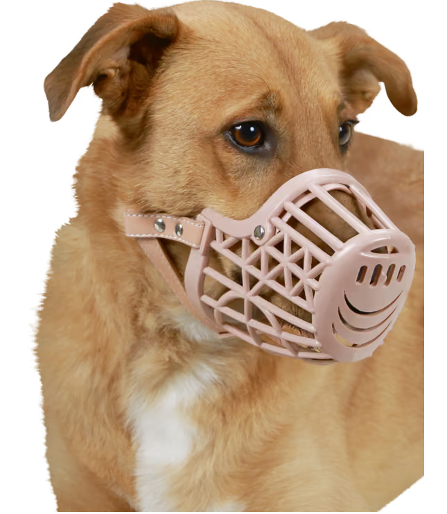Hundemaulkorb, Kunststoff, Rosa, Korbdesign, verstellbarer Riemen