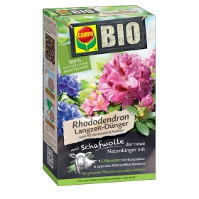 Kräuter, Pflanze, Blume