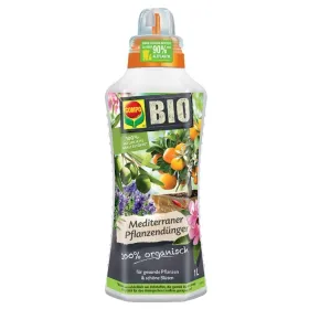 Flasche, Kräuterig, Pflanze, Ketchup, Spraydose