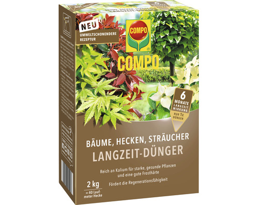 Kräuter, Pflanze, Blatt