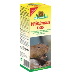 Tier, Säugetier, Nagetier, Ratte