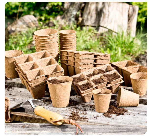 6858 Anzucht-Toepfe 8cm rund 16 Stk/Pkg 1234063