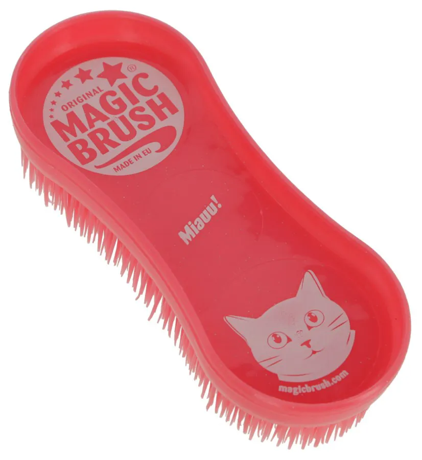 Pinsel, Gerät, Werkzeug, Katze, Haustier