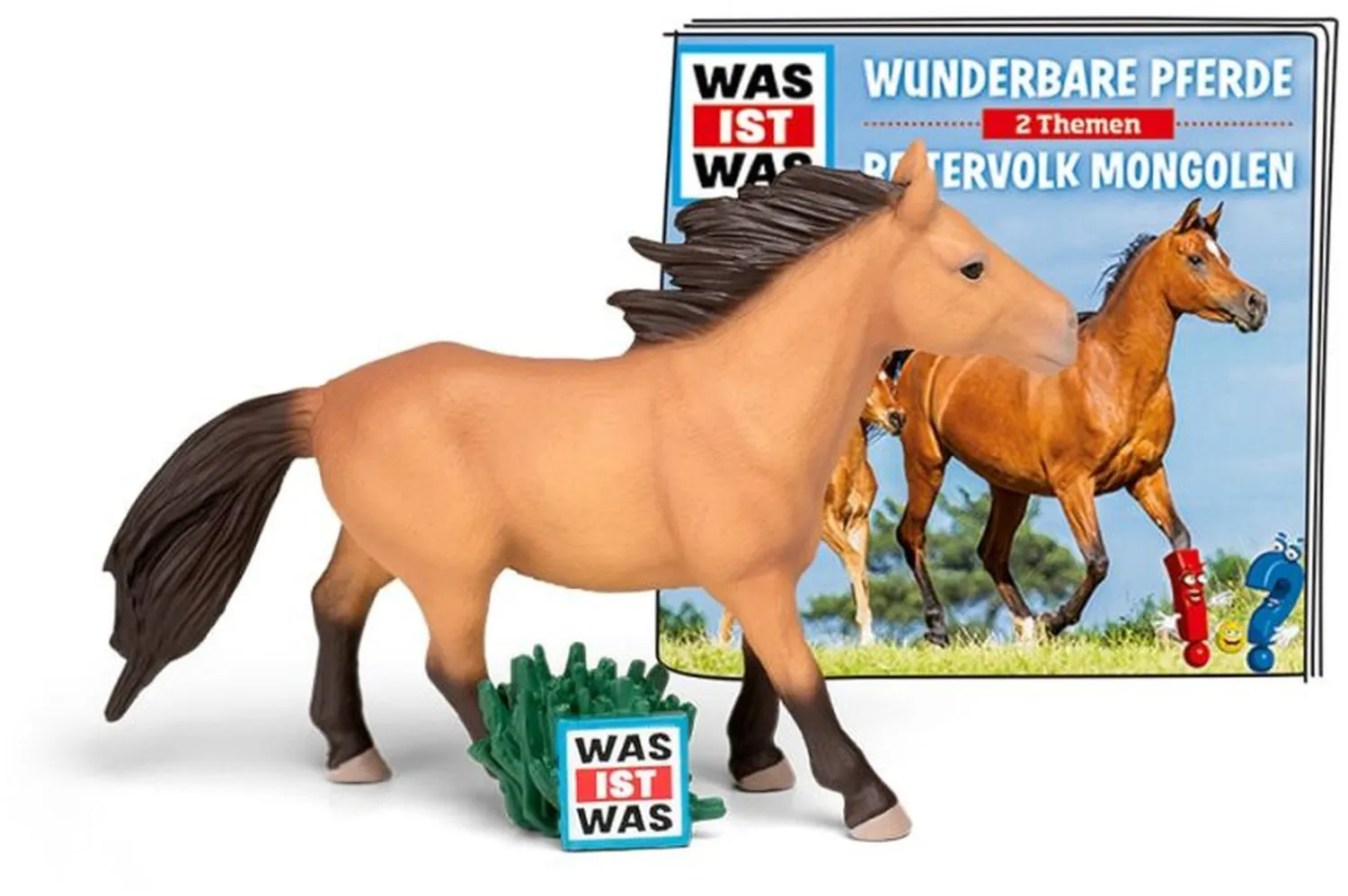 Tier, Colt Horse, Pferd, Säugetier