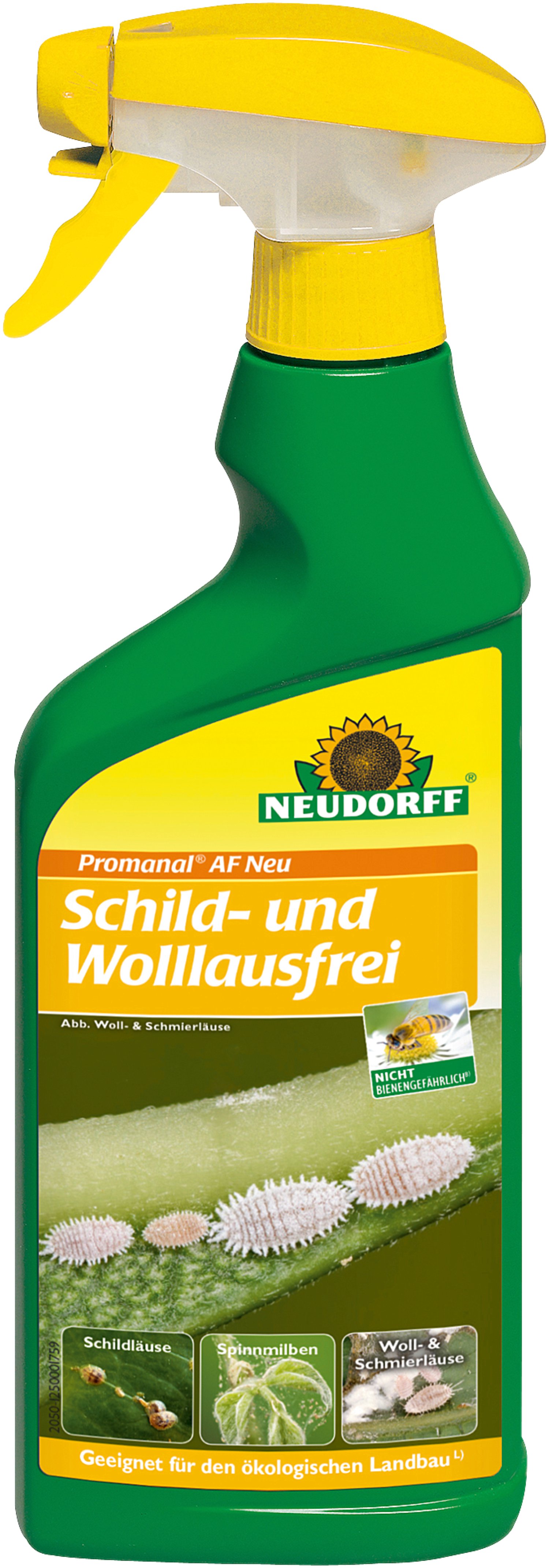 Flasche, Reinigen, Person, Zinn