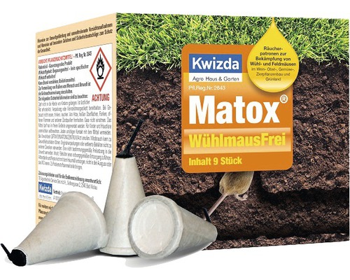 Boden, Tier, Säugetier, Ratte, Nagetier