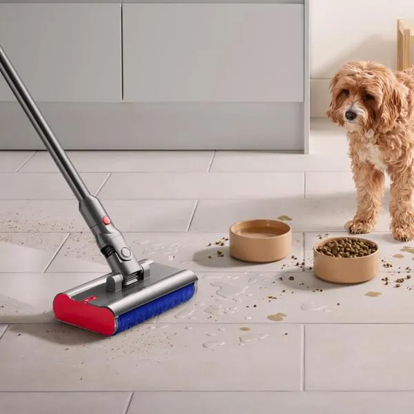 tier, hund, hunde futter, napf, mopp