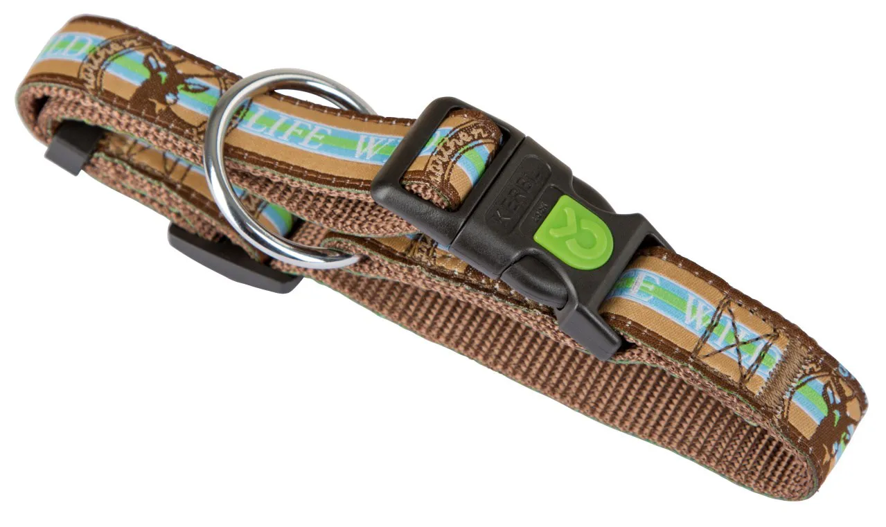 Zubehor, Riemen, Halsband