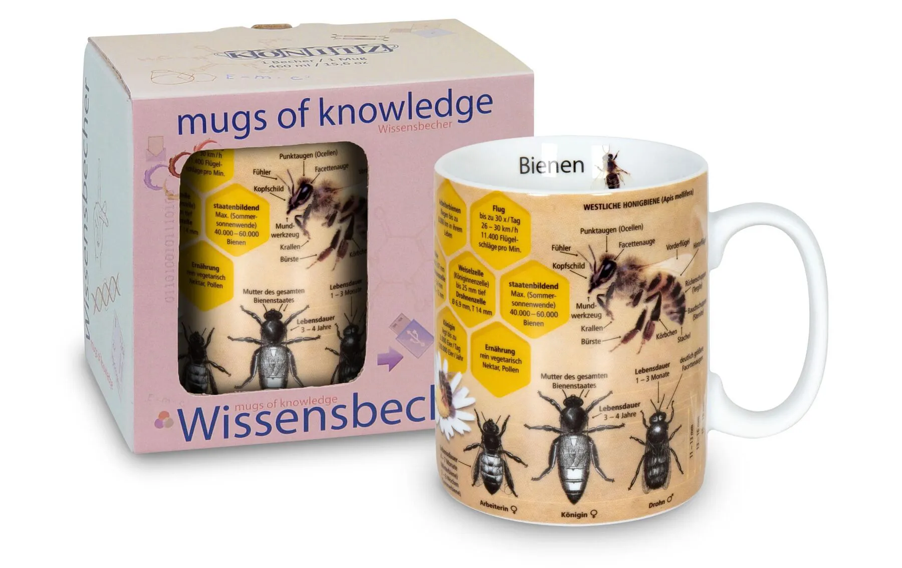 Pokal, Tier, Insekt, Wirbellose