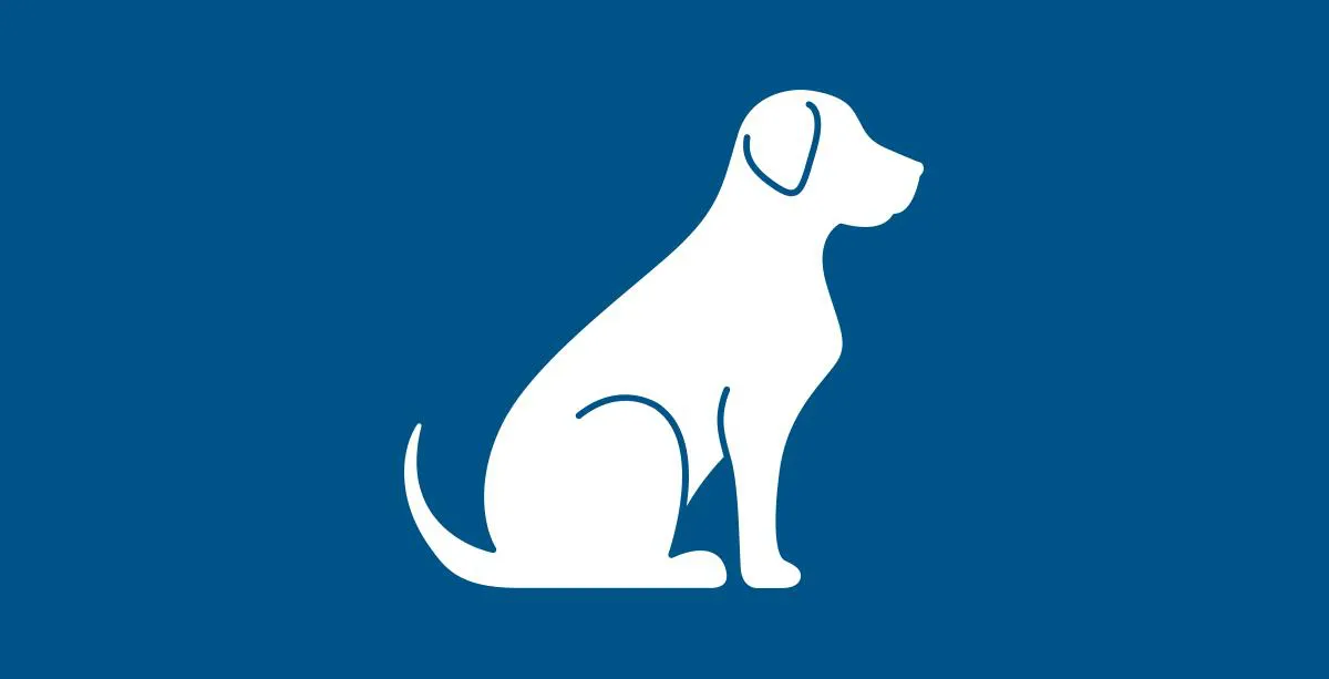 Tier, Bär, Säugetier, Tierwelt, Tier, Bär, Säugetier, Tierwelt, Tier, Bär, Säugetier, Tierwelt, Hund, Silhouette, Umriss, Tier, Blauer_Hintergrund, hund, hunde-silhouette, tier, portion, umriss, Hund, Siluette, Tier, Hund, Sitzen, hund, silhouette, hausti