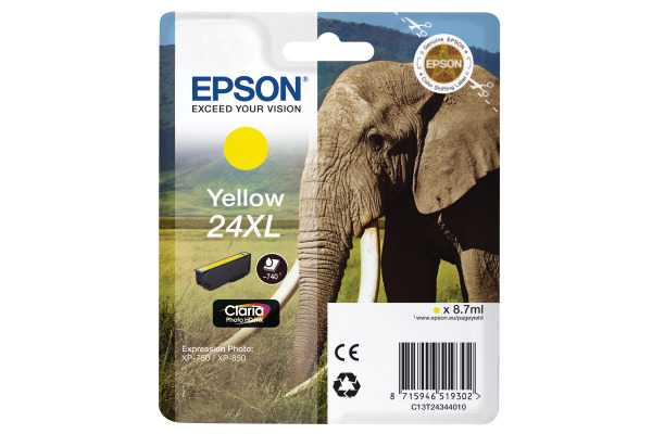 Tier, Elefant, Säugetier, Tierwelt