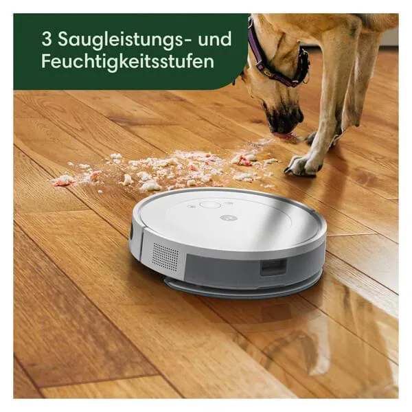 Hartholz, Holz, Drinnen, Innenarchitektur, Hund