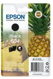 Essen, Obst, Ananas, Pflanze, Produzieren