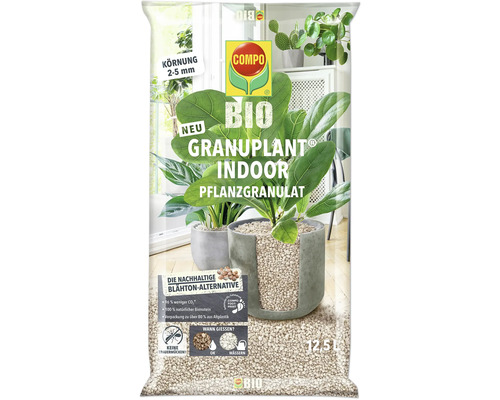Pflanze, Pflanze im Topf, Kräuter, Blatt