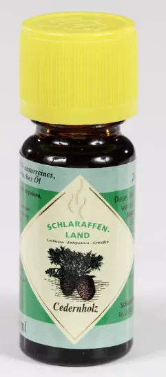 Kräuter, Pflanze