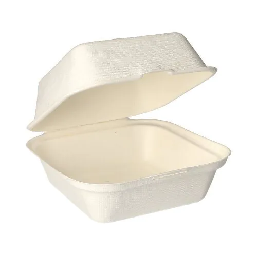 Verpackung, Plastikbehälter, Deckel klappbar, unbeschriftet, rechteckige Box