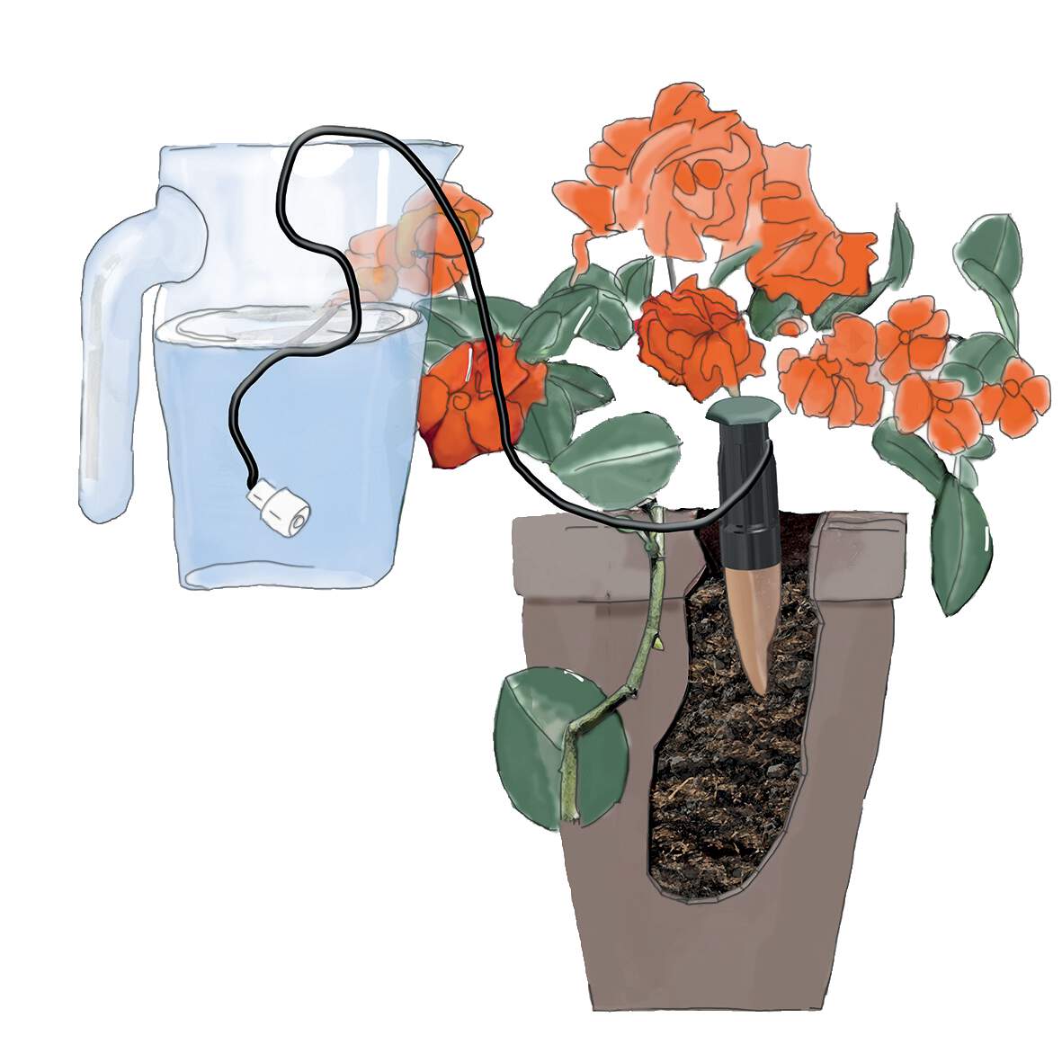 Topfpflanze, Krug, Blume, Töpferei, Vase